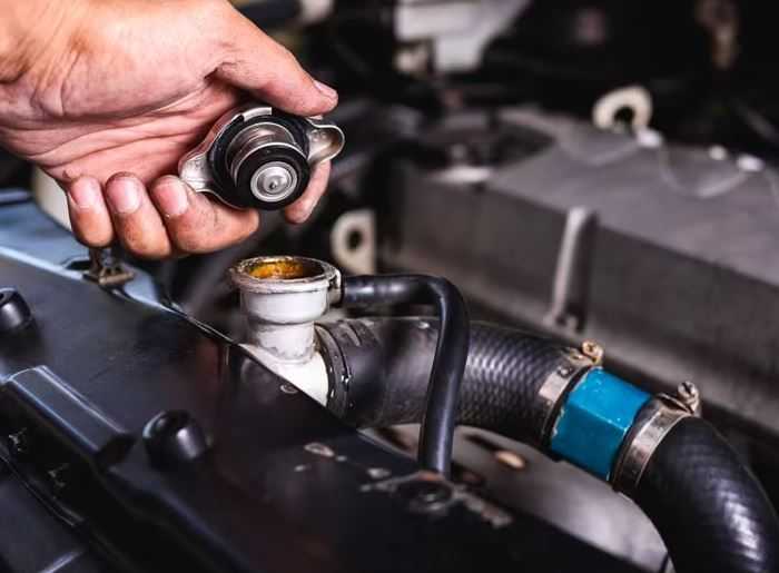 Examine-Your-Coolant-Car-Maintenance-and-Repair