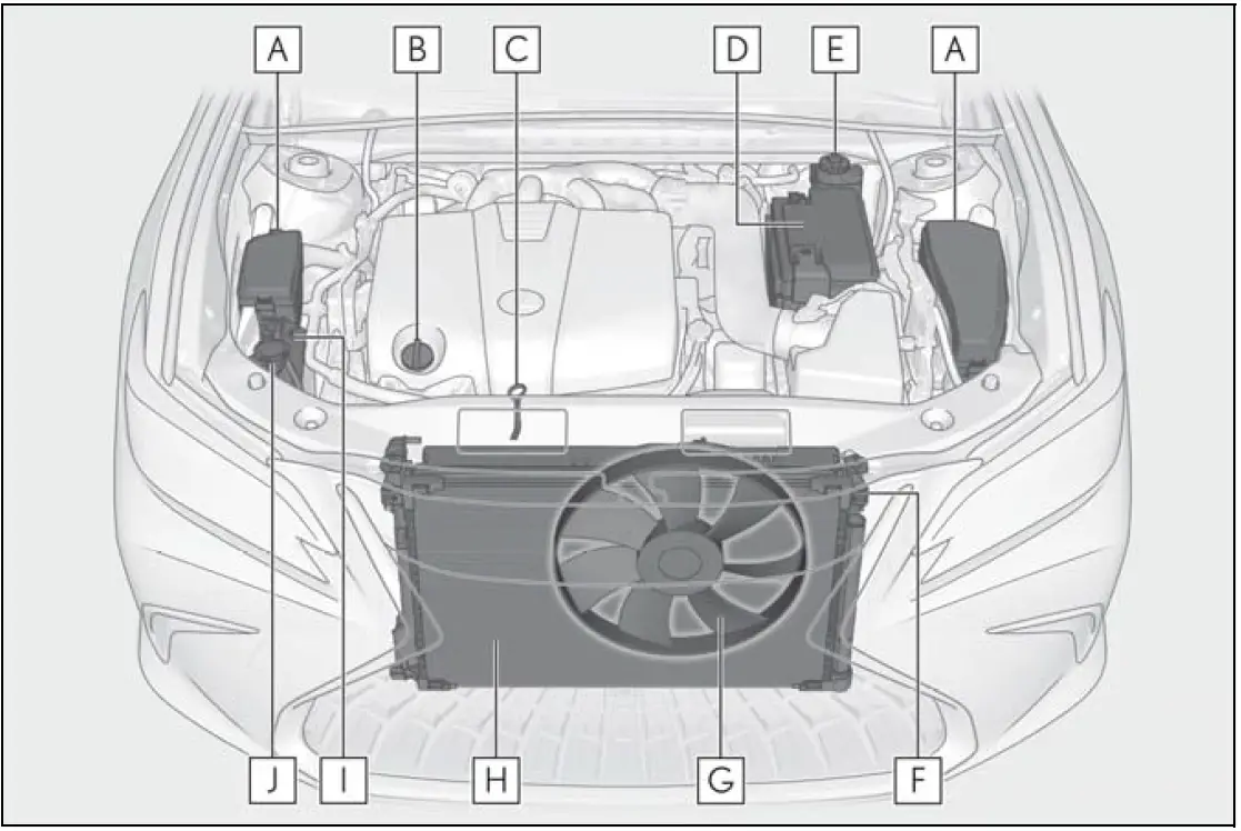 Lexus ES250 2023 Hood Maintenance and Engine Compartment 06