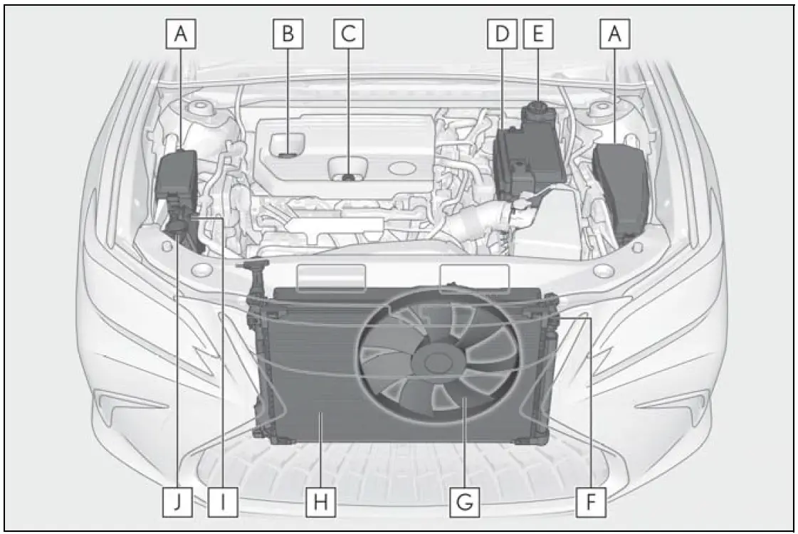 Lexus ES250 2023 Hood Maintenance and Engine Compartment 07