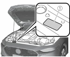 2021 Mazda3 Interior Features User Manual-01
