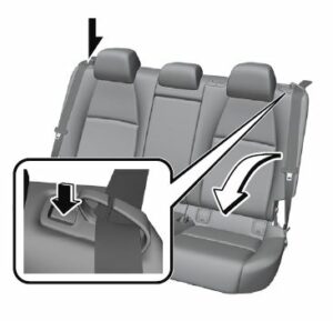 2021 Mazda3 Seats and Seat Belt User Manual-52