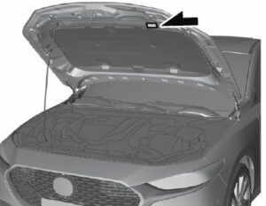 2021 Mazda3 Specifications User Manual-04