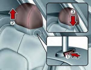 Kia Niro EV 2021 Seats and Seat Belts User Manual 17