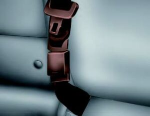 Kia Niro EV 2021 Seats and Seat Belts User Manual 31