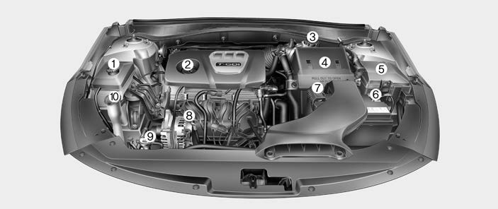 Kia Optima Hybrid 2019 Engine Coolant User Manual 03