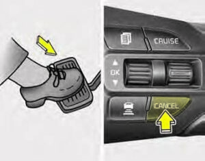 Kia Sedona 2020 Cruise Control System User Manual 22