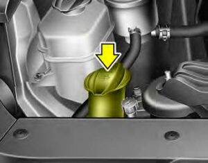 Kia Sedona 2020 Engine coolant User Manual 11