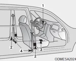 Kia Sedona 2020 Seats and Seat Belts User Manual 007