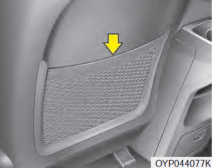 Kia Sedona 2020 Seats and Seat Belts User Manual 009