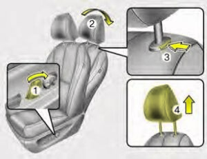 Kia Sedona 2020 Seats and Seat Belts User Manual 19