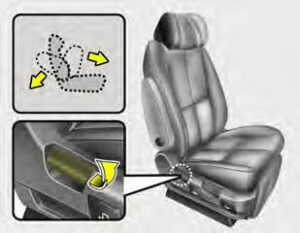 Kia Sedona 2020 Seats and Seat Belts User Manual 25