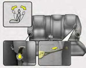 Kia Sedona 2020 Seats and Seat Belts User Manual 26