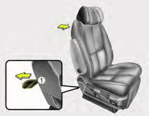 Kia Sedona 2020 Seats and Seat Belts User Manual 29