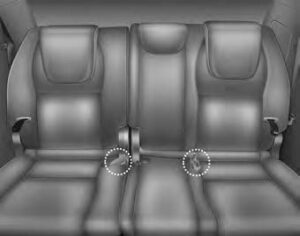Kia Sedona 2020 Seats and Seat Belts User Manual 32