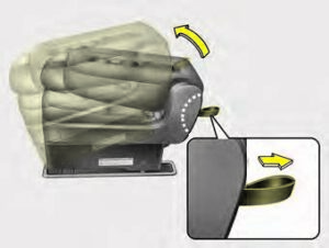 Kia Sedona 2020 Seats and Seat Belts User Manual 45