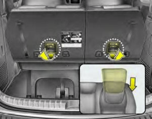 Kia Sedona 2020 Seats and Seat Belts User Manual 53