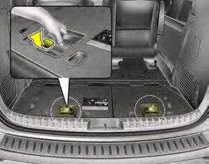 Kia Sedona 2020 Seats and Seat Belts User Manual 56
