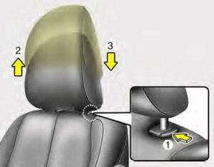 Kia Sedona 2020 Seats and Seat Belts User Manual 71
