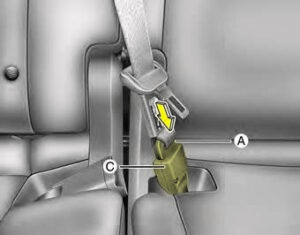 Kia Sedona 2020 Seats and Seat Belts User Manual 86