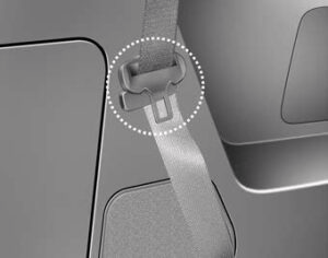 Kia Sedona 2020 Seats and Seat Belts User Manual 94