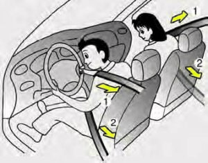 Kia Sedona 2020 Seats and Seat Belts User Manual 94