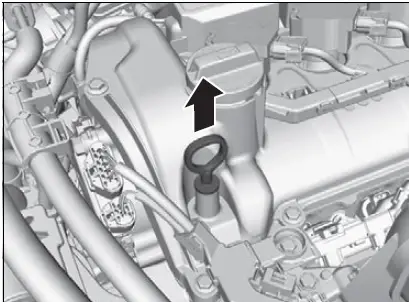 2021 Honda Insight Engine Oil and Fluids 04