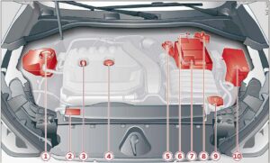 2022 Audi A3 Engine Oil and Fluids 03