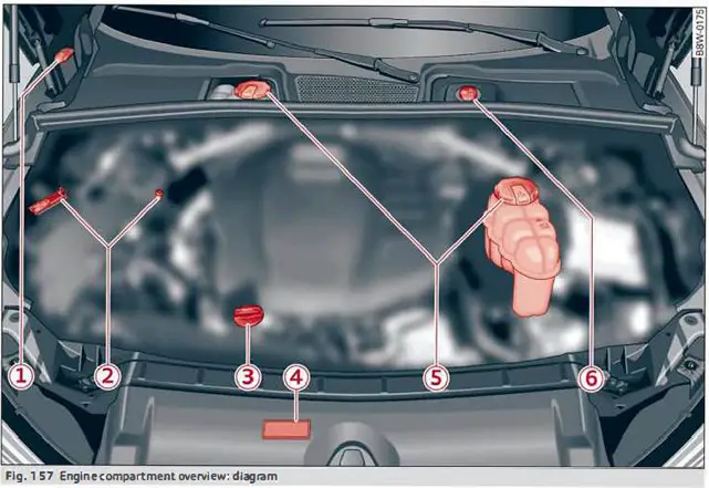 2023 Audi A4 Checking and Filling Instructions 06