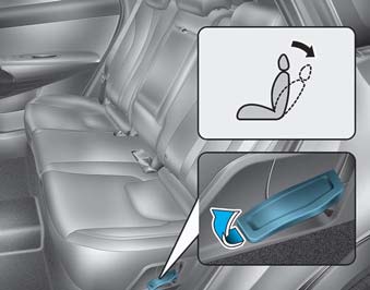 2023 Hyundai Nexo-Fule-Cell Seats and Seat Belt 07