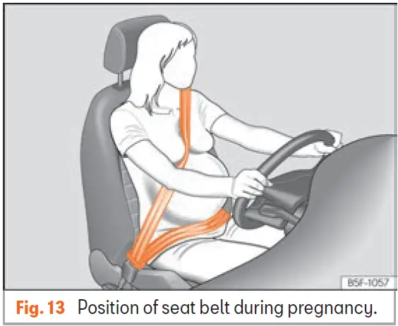 Seat-Arona-2022-2023-Seat-Belt-FIG-10