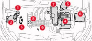 2021-2023 Citroen C4 Cactus Engine Oil (1)
