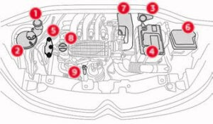 2021 Citroen 2021 Citroen C3 Engine Oil GuidelinesC3 Engine Oil Guidelines fig (1)