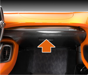 McLaren Elva Seat Belts 04