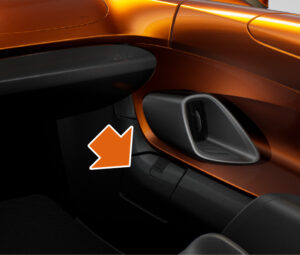 McLaren Elva Interior Features (1)