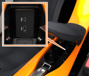 McLaren Elva Interior Features (3)