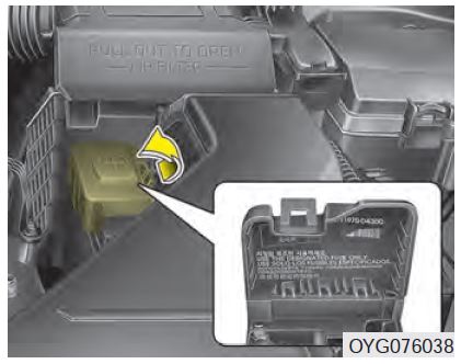 2019-Kia-Cadenza-Fuses-and-Fuse-Box-How-To-Replace-fig-11