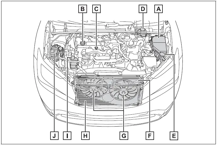 2024 Toyota Prius Engine Compartment Guidelines Auto User Guide