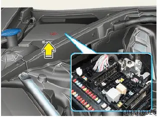 2017 Genesis G80 Fuses and Fuse Box (19)