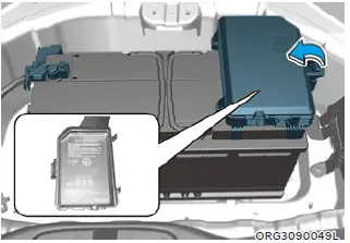 2022 Genesis G80 Fuses and Fuse Box (12)