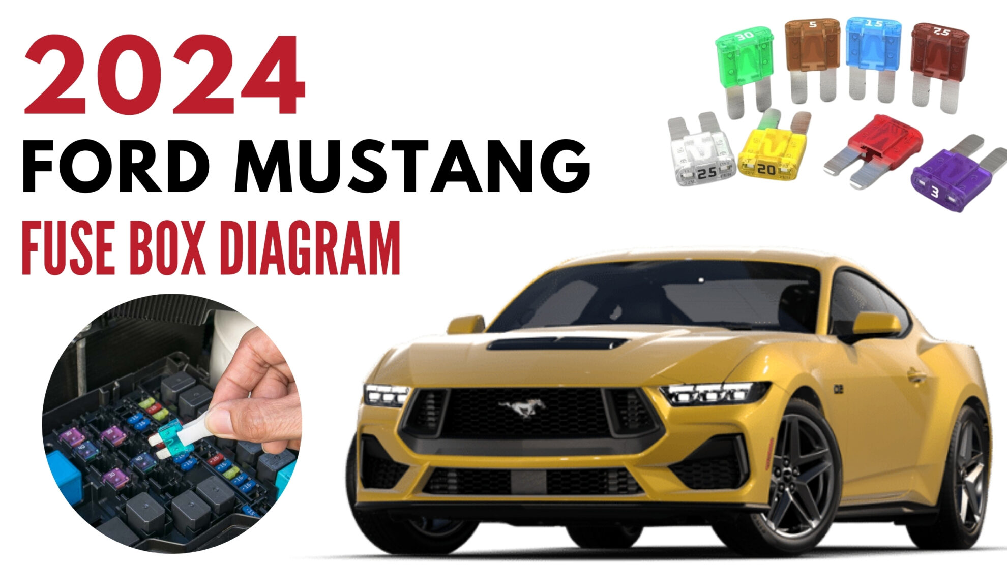 2024 FORD Mustang Fuses and fuse Box Diagram User Guide Auto User Guide