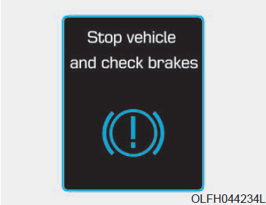 2018 Hyundai Ioniq EV Display Warning Messages Guide (17)