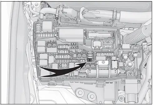 2024 Lexus LC500C-Checking and replacing fuses-fig 9