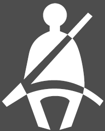 Dashboard Indicators 2020 ACURA RDX Warning Lights Seat Belt fig 30