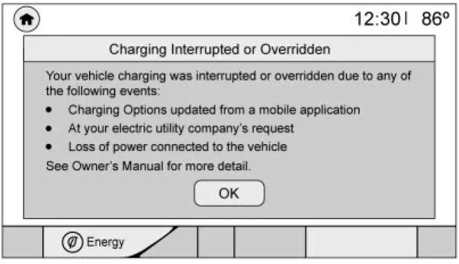 Display Information Guide-Chevrolet Bolt EV 2019-Setting Features-fig 17