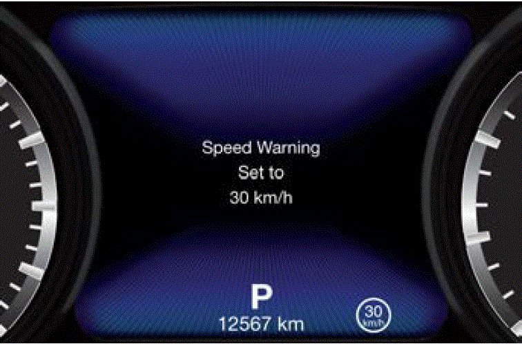 Display Screen Maserati Levante 2019 Warning Messages STORED MESSAGES fig 30